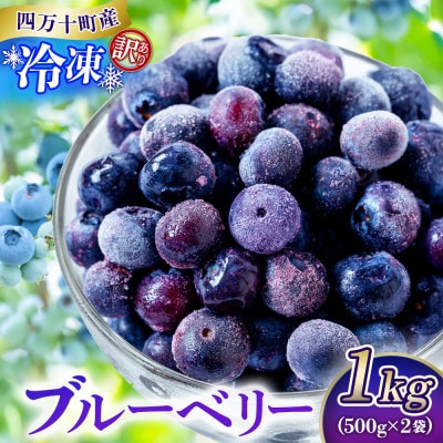 【訳あり】シャーベット感覚!四万十町産 冷凍ブルーベリー1kg(500g×2袋)Cvs-11