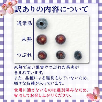 【訳あり】シャーベット感覚!四万十町産 冷凍ブルーベリー1kg(500g×2袋)Cvs-11