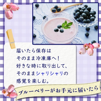 【訳あり】シャーベット感覚!四万十町産 冷凍ブルーベリー1kg(500g×2袋)Cvs-11