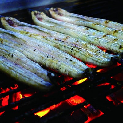 四万十地焼き蒲焼鰻2尾セット　国産