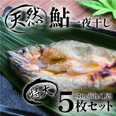 頭からガブッと!四万十川の天然鮎 一夜干し(70g前後×5枚セット)