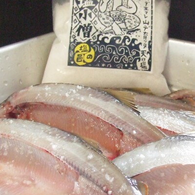 頭からガブッと!四万十川の天然鮎 一夜干し(70g前後×5枚セット)