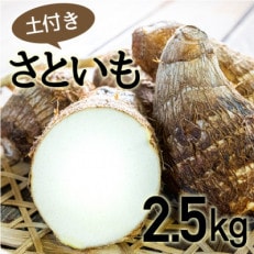 四万十町産「土付きさといも」2.5kg