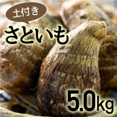 四万十町産「土付きさといも」5kg