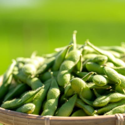 夏の味覚「枝豆」2キロ