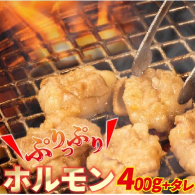 大人気焼肉屋さんのご家庭で簡単!ホルモン焼きセット400g+タレ