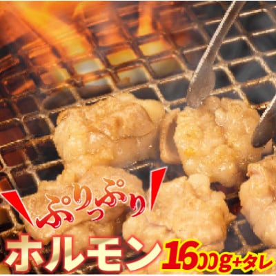 大人気焼肉屋さんのご家庭で簡単!ホルモン焼きセット1600g+タレ