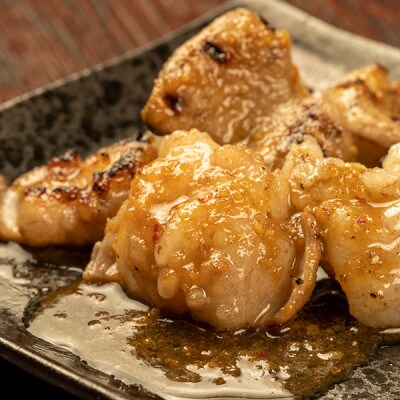 大人気焼肉屋さんのご家庭で簡単!ホルモン焼きセット1600g+タレ