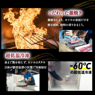 魚市場直送の藁焼きカツオのタタキ6-8人前