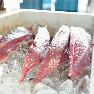 魚市場直送の藁焼きカツオのタタキ3-4人前