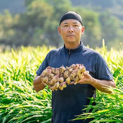 四万十町産生姜を使用!クラファン291%達成の生姜プロテイン　1袋