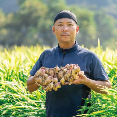 四万十町産生姜を使用!クラファン291%達成の生姜プロテイン　3袋　Org-06