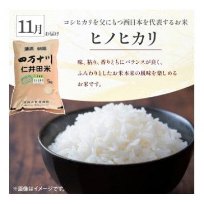 【発送月固定定期便】樽井商店の仁井田米5k味くらべ　10月～12月全3回