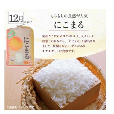 【発送月固定定期便】樽井商店の仁井田米5k味くらべ　10月～12月全3回