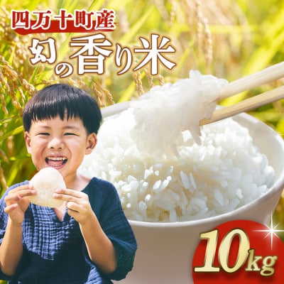 四万十育ち!冷めても香る幻の米『香り米』　10kg　Fnp-02