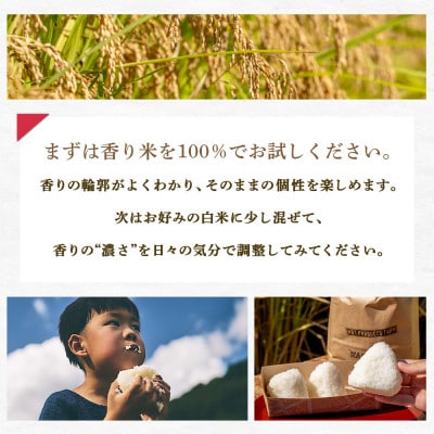 四万十育ち!冷めても香る幻の米『香り米』　10kg　Fnp-02