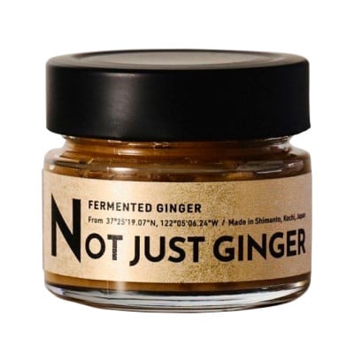 四万十生姜×特許乳酸菌 毎日続ける発酵生姜 「NOT JUST GINGER」1個　Fnp-03