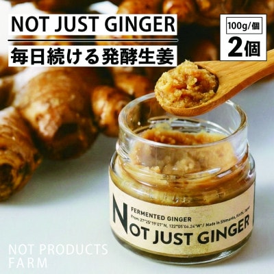 四万十生姜×特許乳酸菌 毎日続ける発酵生姜 「NOT JUST GINGER」2個　Fnp-04