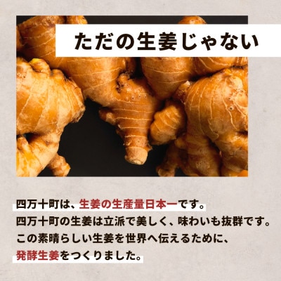 四万十生姜×特許乳酸菌 毎日続ける発酵生姜 「NOT JUST GINGER」2個　Fnp-04