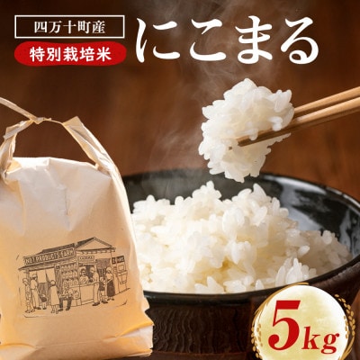 四万十清流育ち!つや甘み際立つ にこまる 5kg　Fnp-05