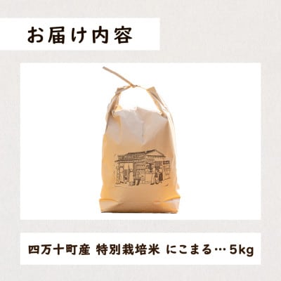四万十清流育ち!つや甘み際立つ にこまる 5kg　Fnp-05