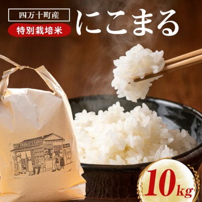 四万十清流育ち!つや甘み際立つ にこまる 10kg　Fnp-06