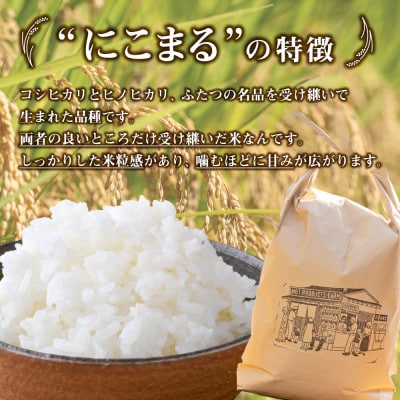 四万十清流育ち!つや甘み際立つ にこまる 10kg　Fnp-06