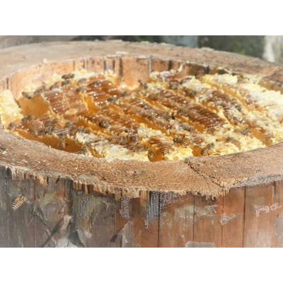 南紀熊野蜜　A　200g×1