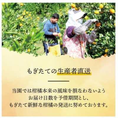 こだわりの完熟有田みかん 約10kg+250g(傷み補償分) ご家庭用 (nuk004-c-10)