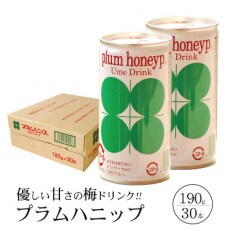 【古座川町】プラムハニップ 1ケース(30本)