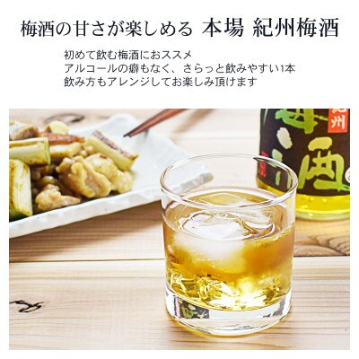 【古座川町】本場紀州 梅酒 6本セット