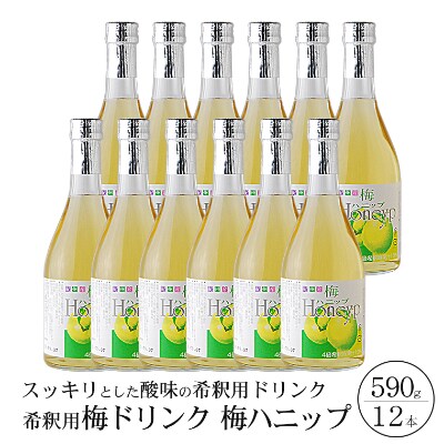 【古座川町】希釈用梅ドリンク 梅ハニップ 12本セット