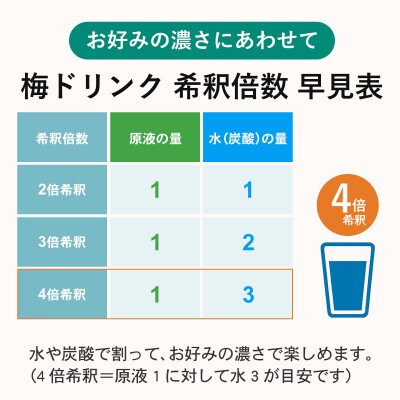 【古座川町】希釈用梅ドリンク 梅ハニップ 12本セット