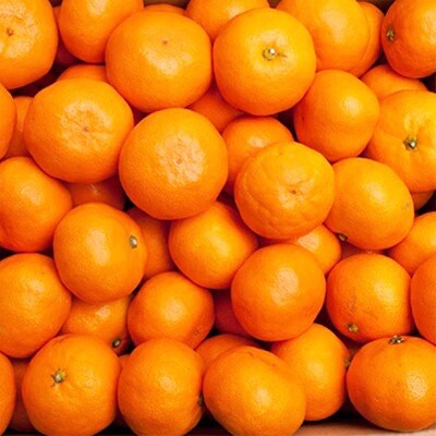 厳選 蔵出みかん5kg+150g(傷み補償分)【有田の蔵出しみかん】【光センサー選果】
