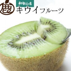 ＜1月より発送＞家庭用キウイフルーツ3kg+90g(傷み補償分)【訳あり・扁平果】