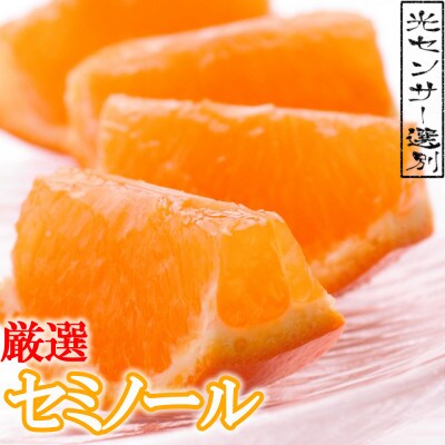 <4月より発送>厳選セミノールオレンジ6.5kg+195g(傷み補償分)【有田産】【光センサー選別】