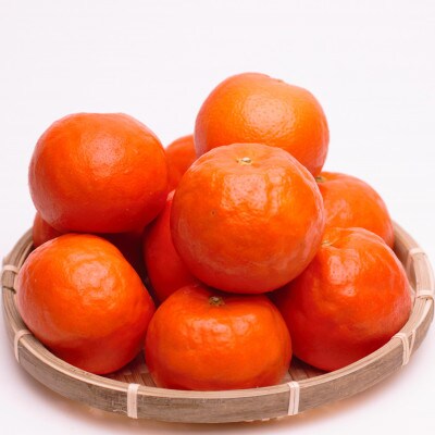 <4月より発送>厳選セミノールオレンジ6.5kg+195g(傷み補償分)【有田産】【光センサー選別】