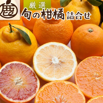 <1月より順次発送>厳選 柑橘詰合せ2kg+60g(傷み補償分)【有田の春みかん詰め合わせ】