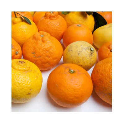 <1月より順次発送>家庭用 柑橘詰合せ3kg+90g(傷み補償分)【訳あり】【有田の春みかん】