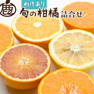 <1月より順次発送>家庭用 柑橘詰合せ5kg+150g(傷み補償分)【訳あり】【春みかん】