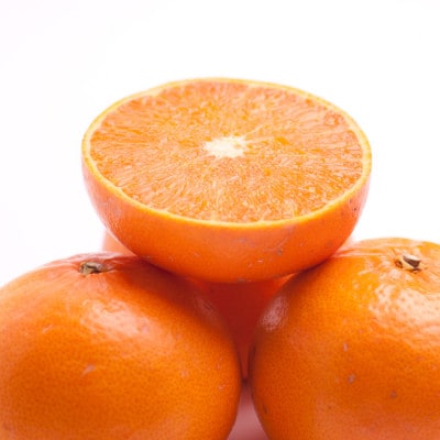 <2月より発送>厳選 せとか3kg+90g(傷み補償分)【柑橘・春みかんの王様】【光センサー選別】