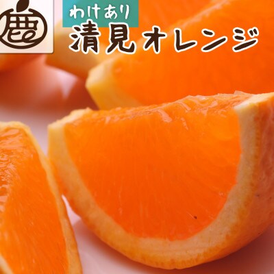 <2月より発送>家庭用 清見オレンジ5kg+150g(傷み補償分)【訳あり】【光センサー食頃出荷】