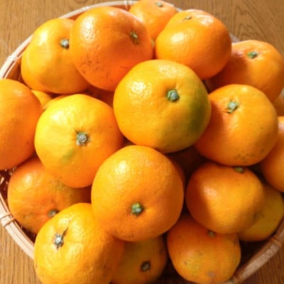【厳選】紀州有田の完熟極早生みかん約7.5kg(サイズ混合)(古座川町)
