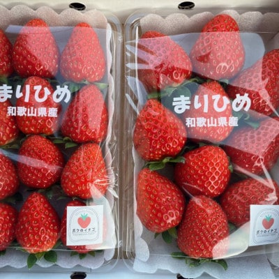 和歌山県産ブランドいちご「まりひめ」大粒系約300g×2パック入り(古座川町)
