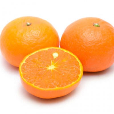 【春みかん】和歌山有田産カラマンダリン約5kg(サイズおまかせ)【古座川町】