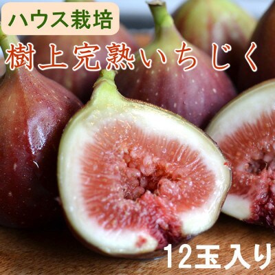 【ハウス栽培】和歌山県産樹上完熟いちじく12玉入り(古座川町)