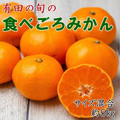 「農園直送」有田の旬の食べごろみかん約5kg(サイズ混合)(古座川町)