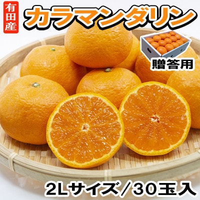 【2027年4月発送】【春みかん】有田産カラマンダリン贈答用(2Lサイズ30玉　秀品)【古座川町】