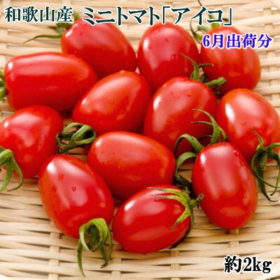 【2023年6月より出荷】和歌山産ミニトマト「アイコトマト」約2kg(S・Mサイズおまかせ)古座川町