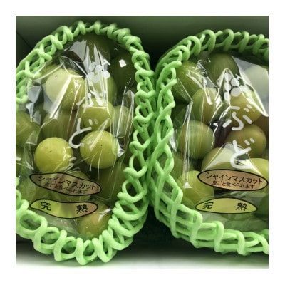 和歌山県産完熟シャインマスカット約1kg【2026年度発送分】(古座川町)